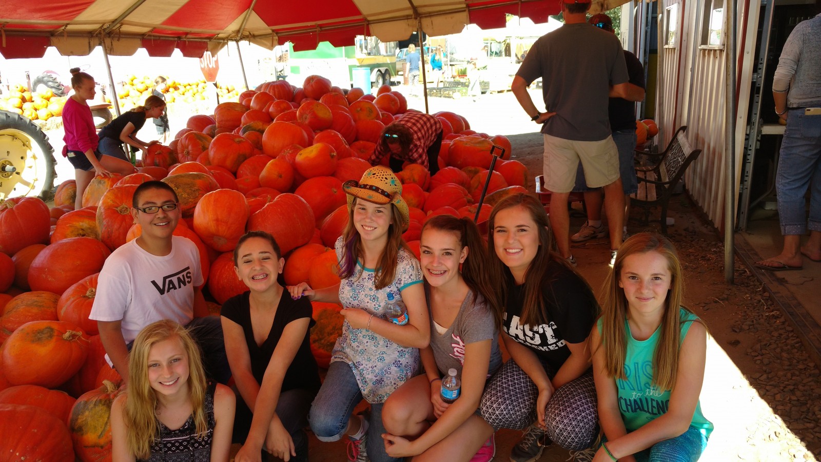 IMG_20161002_140835176 (1)