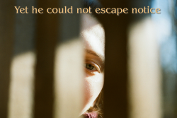 young woman peering through a break in slats, text at top reads "Yet he could not escape notice"